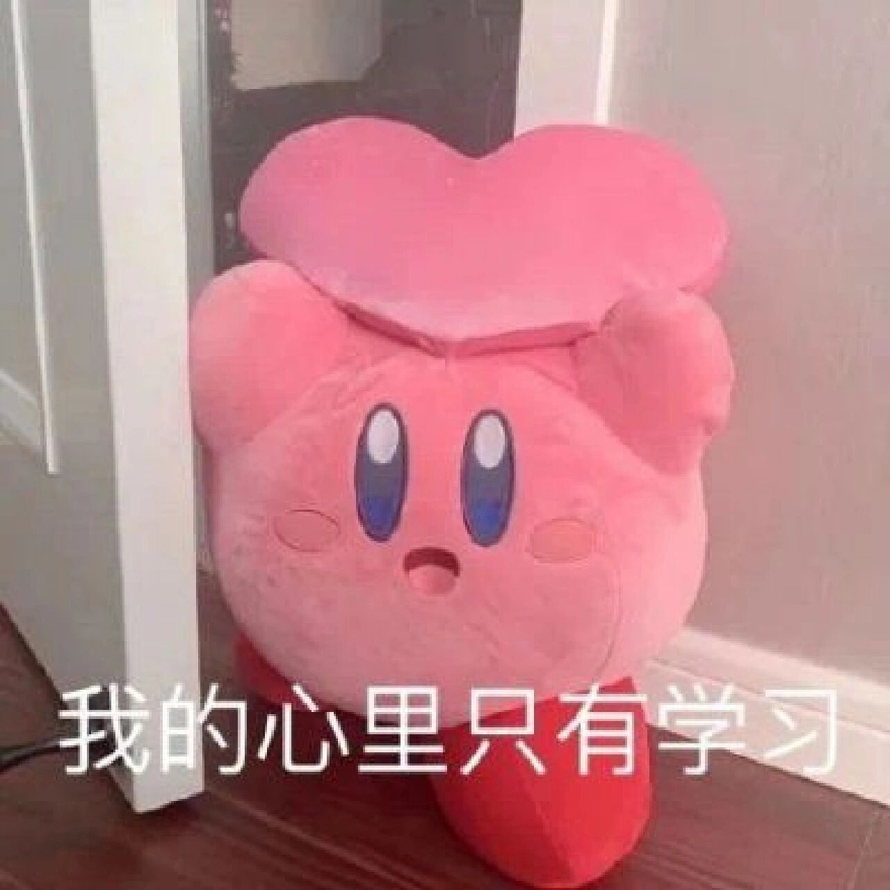 学习表情包 宁可累死自己,也要卷死别人 至少形式上要卷起来