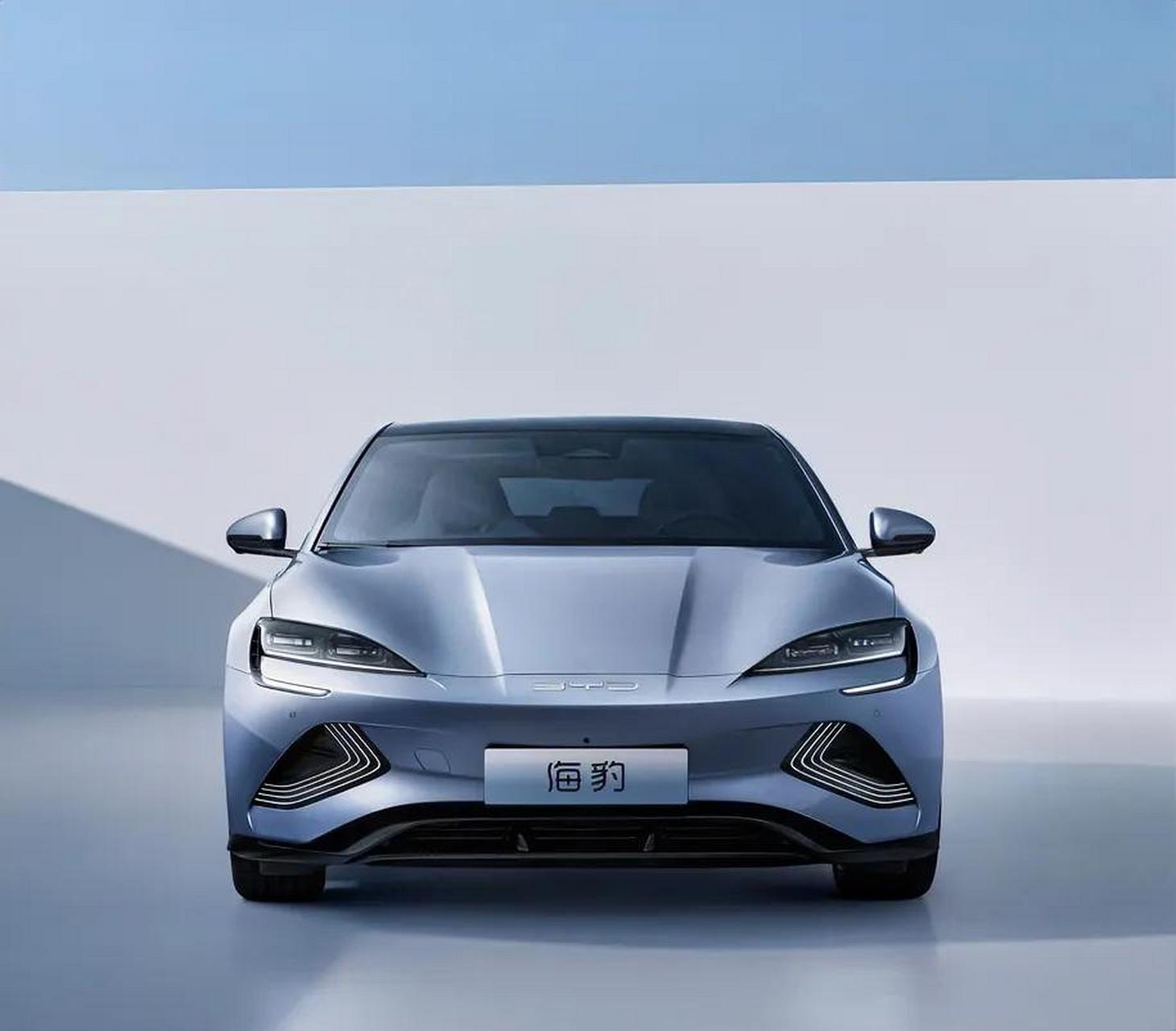 高性价比:相较于其他电动车型,比亚迪海豹的售价相对