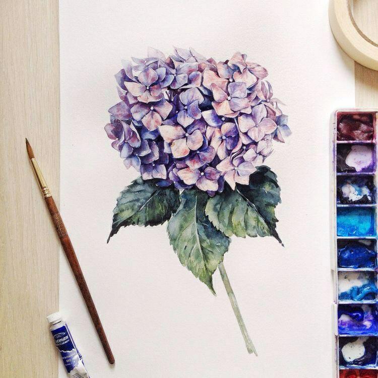 ins水彩分享:蓝紫色水彩花卉,静谧的颜色