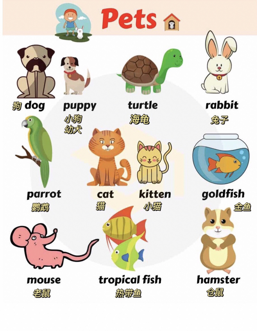 迪士尼动物名字图片