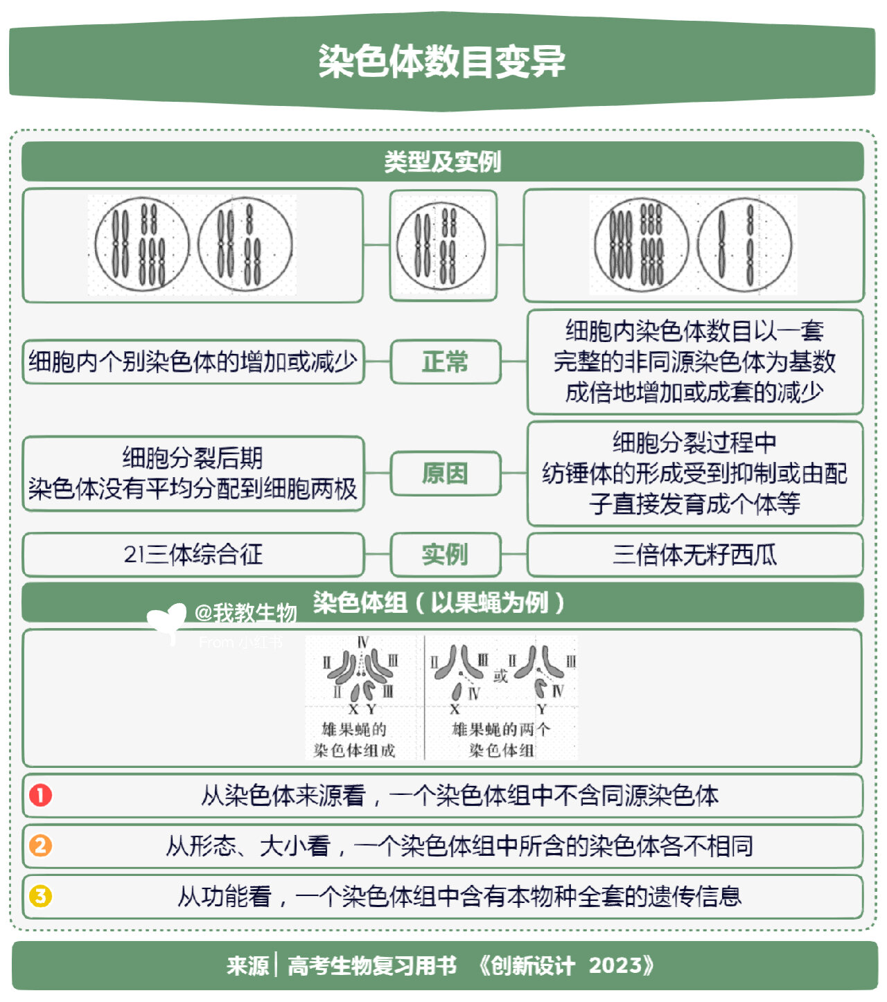 染色体变异四种类型图片