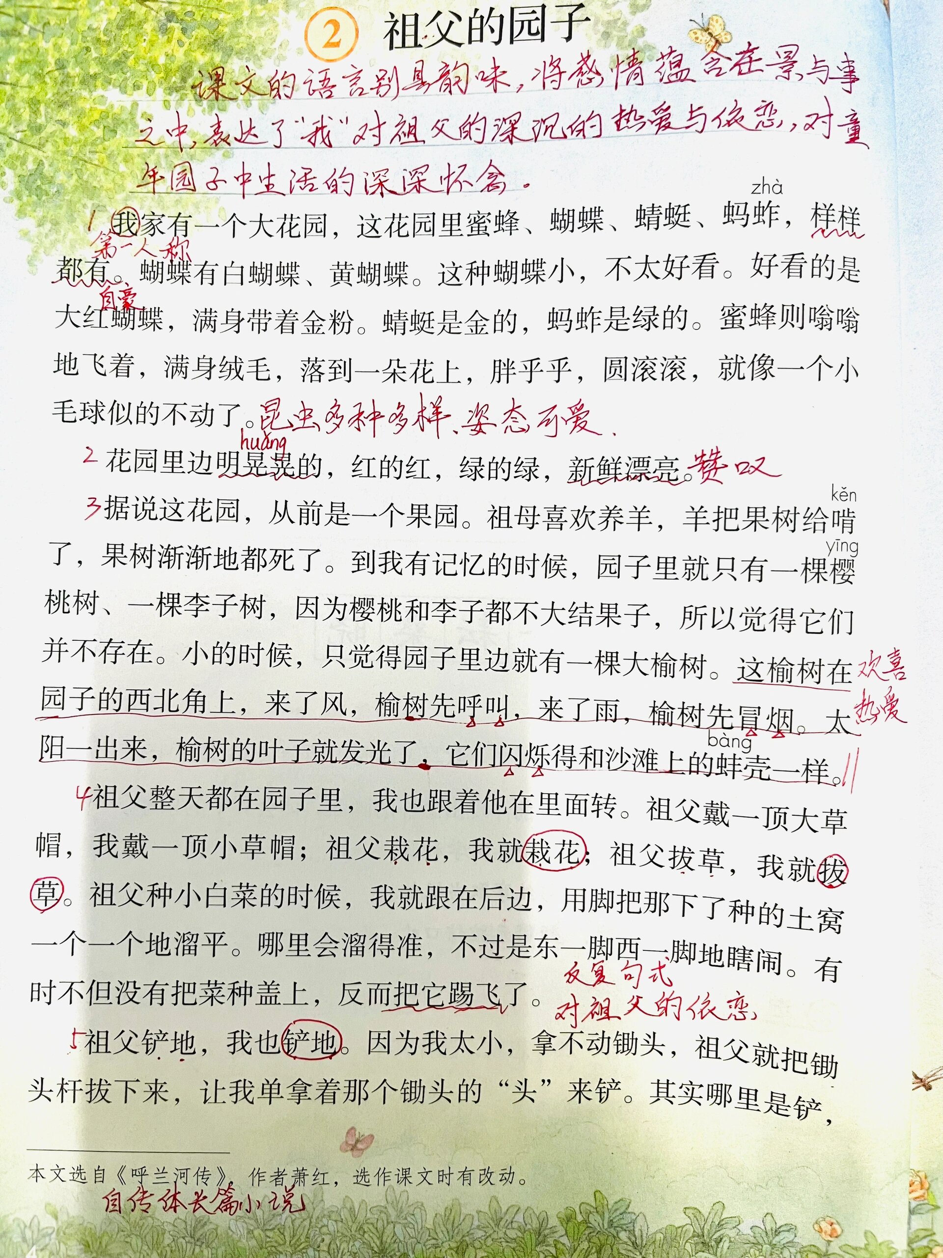 祖父的园子课文笔记图片