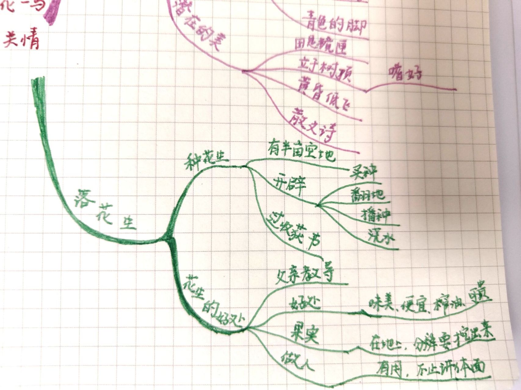 白鹭的思维导图怎么画图片