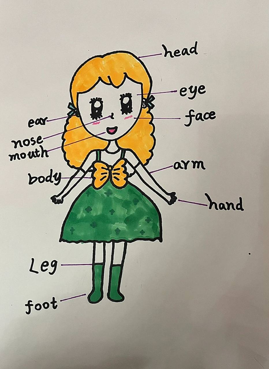 三年级英语身体部位介绍  女儿画的英语身体部位介绍