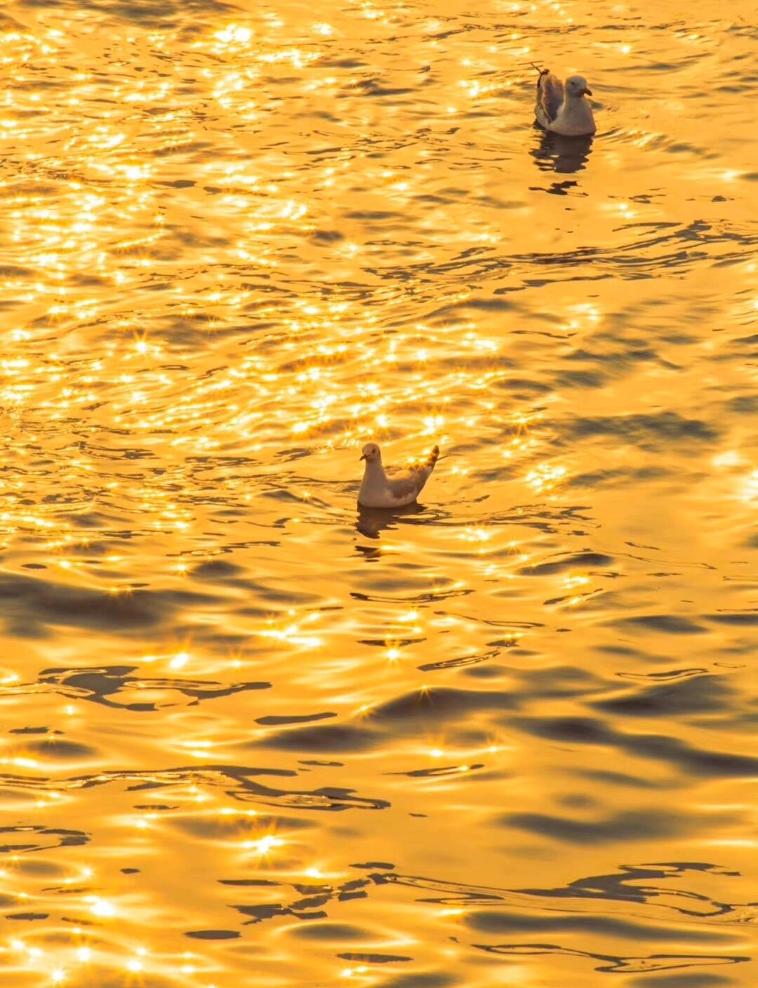 壁纸|喜金水的真的很偏爱 这类blingbling 波光粼粼的壁纸!