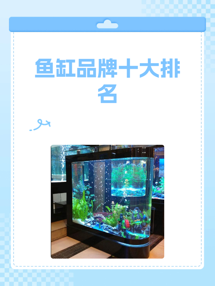鱼缸品牌十大排名 这些就是鱼缸品牌十大排名啦!