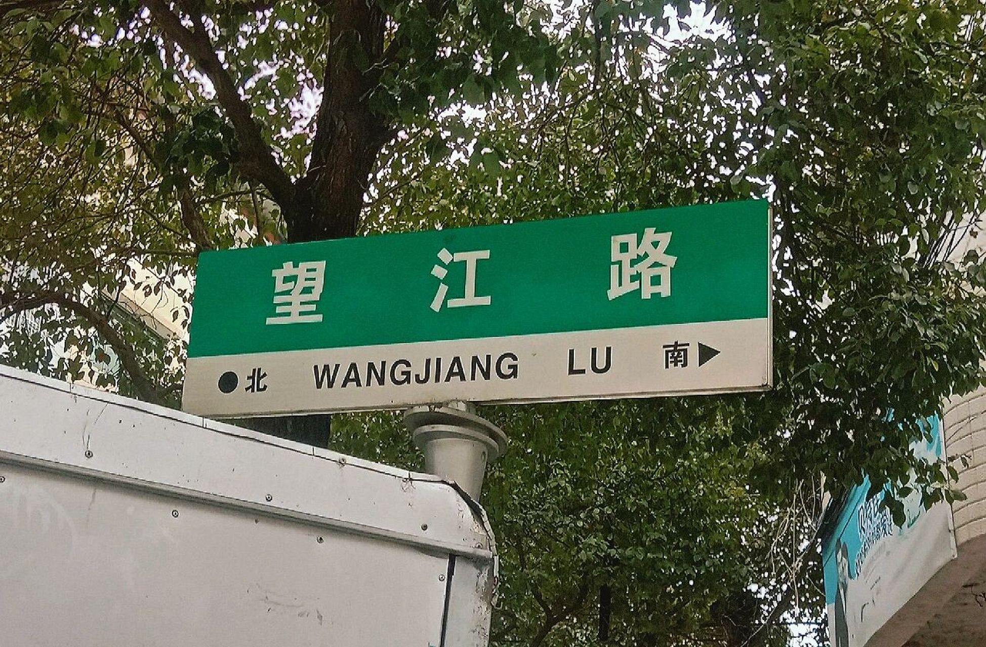 梧桐外白马弄堂,走一走,去附中看看,这也算我真正见到他们了吧…某某