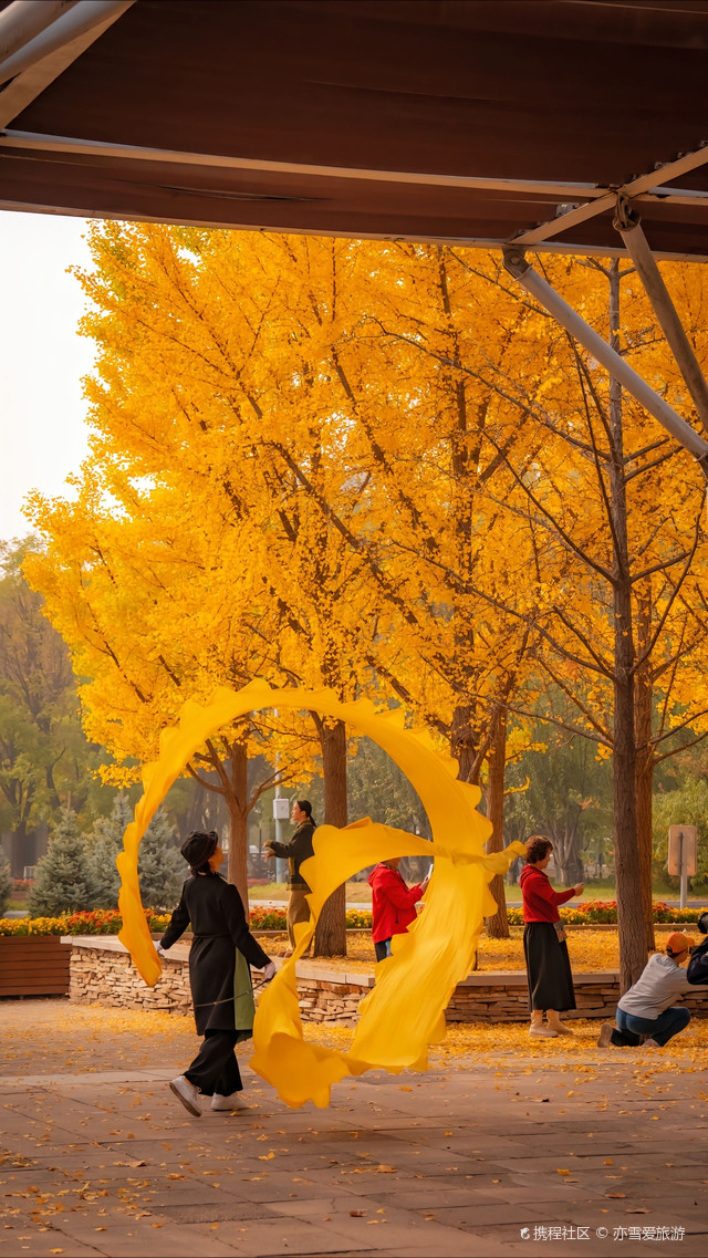 位置:北京市 朝阳区 奥林匹克森林公园 南园(南门比较近)