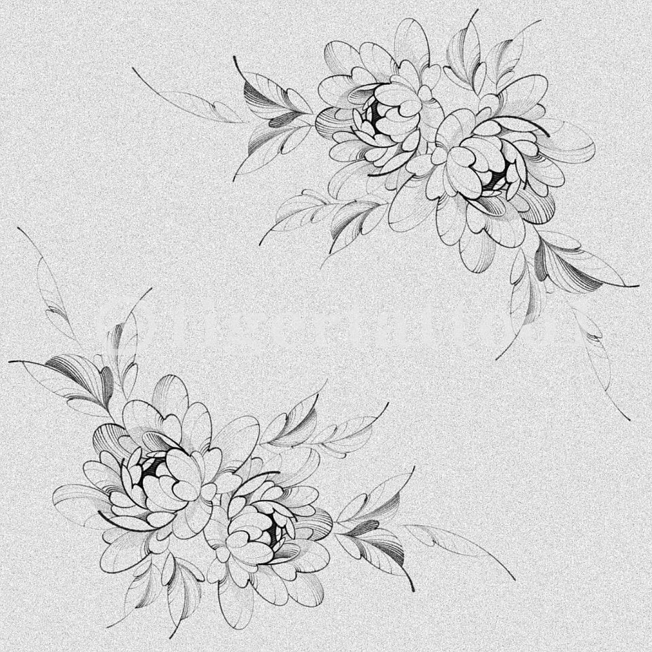 女生素花精致纹身手稿|女神素花纹身 9张精致纹身手稿,适合高水平纹身