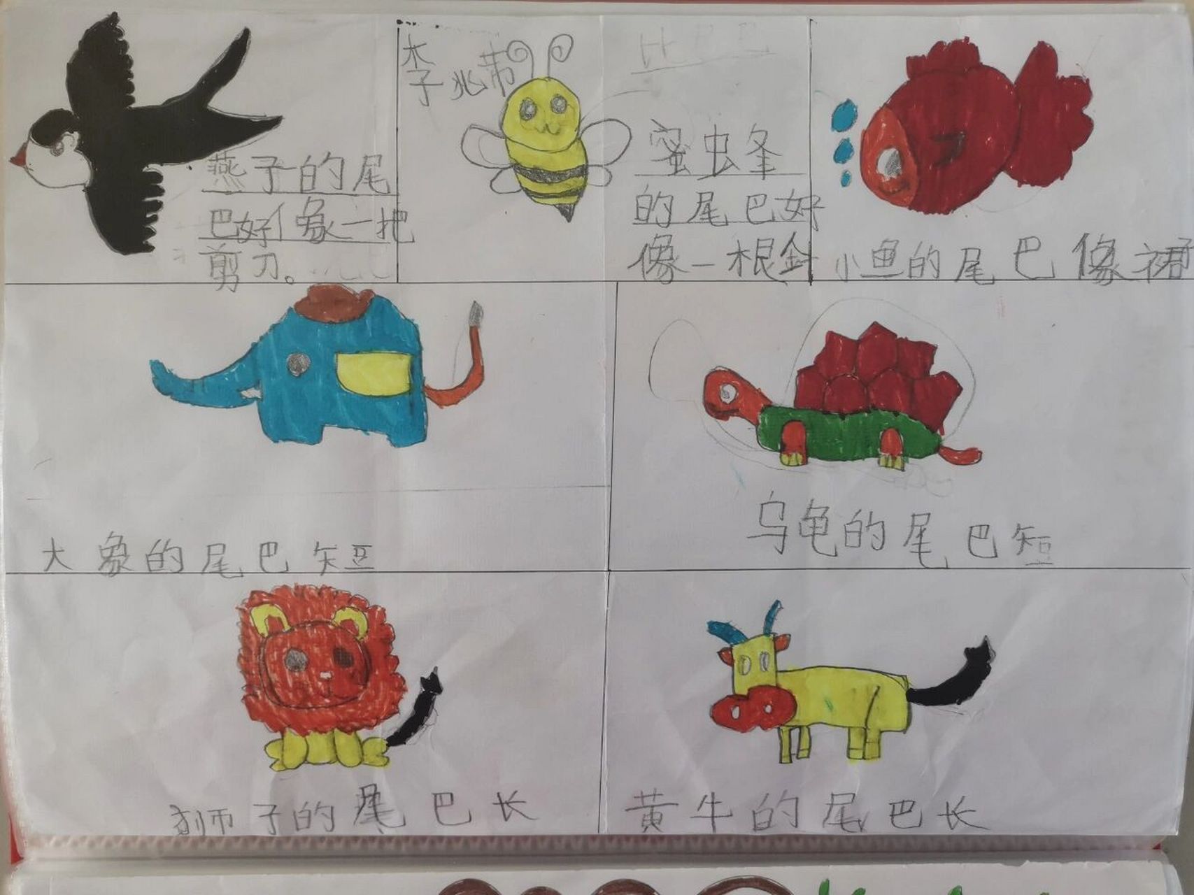 一年级上6课《比尾巴》仿写配图作品