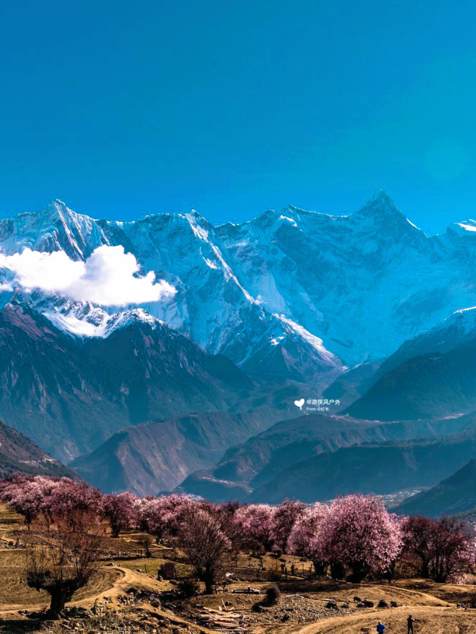 南迦巴瓦峰|林芝雅鲁藏布江大峡谷徒步  世界上zui大zui深峡谷,全长