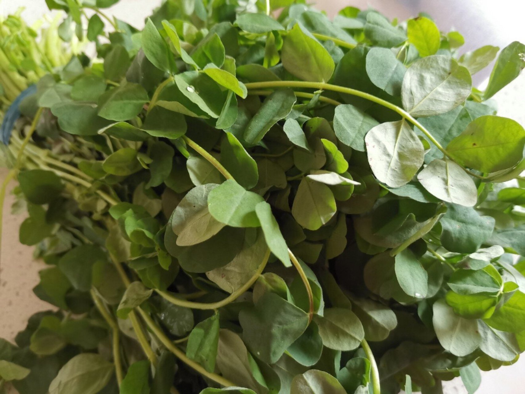 我不知道其他地方管这种野菜叫什么,我们从小就管它叫"草子".