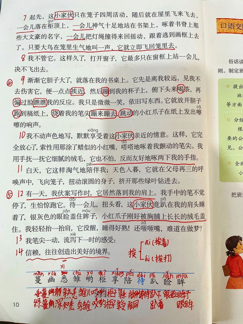 五上语文笔记《珍珠鸟》 第四课《珍珠鸟》学生课堂笔记分享