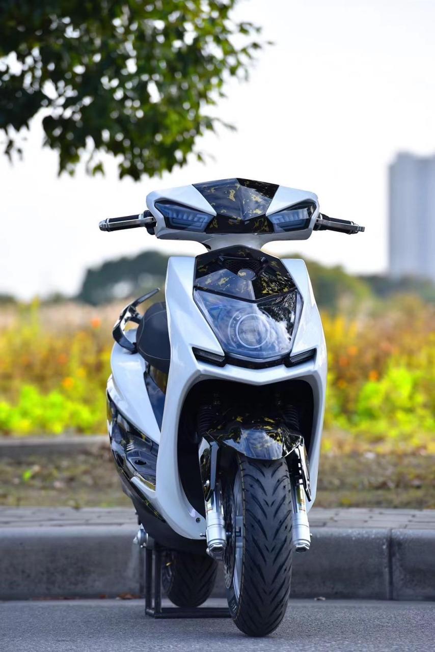 三阳油改电四代目 全国不禁摩地区均可上牌.