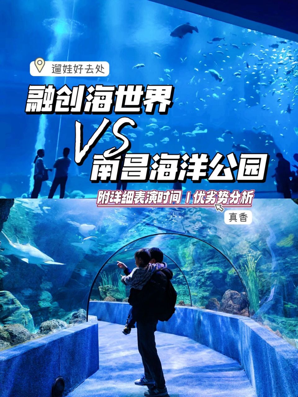 融創海世界vs南昌海洋公園(到底哪個更好玩) 應該有很多人還不知道