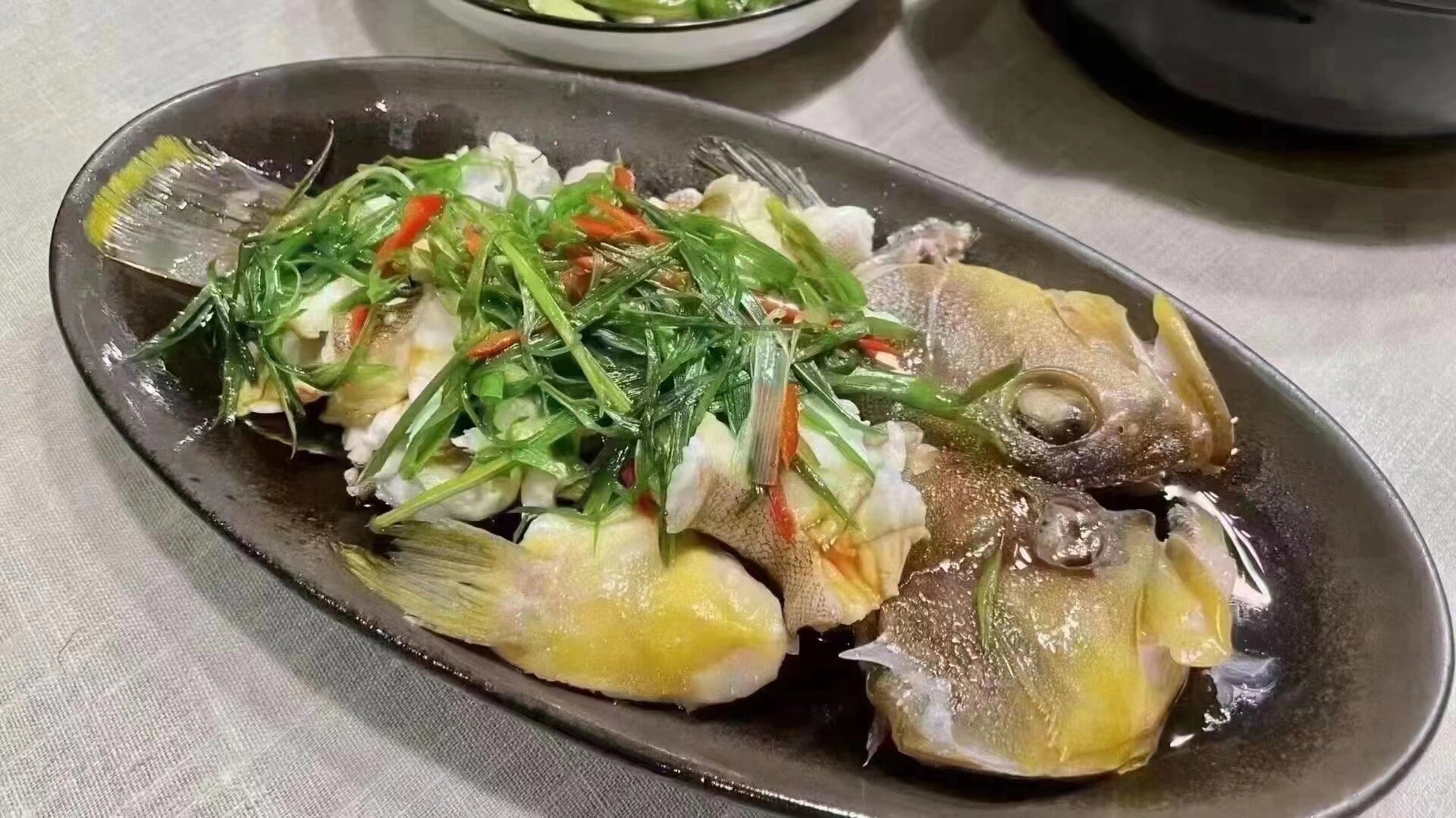 黄丁斑(石斑鱼)纯野生钓口.@友情岁月的时光的动态