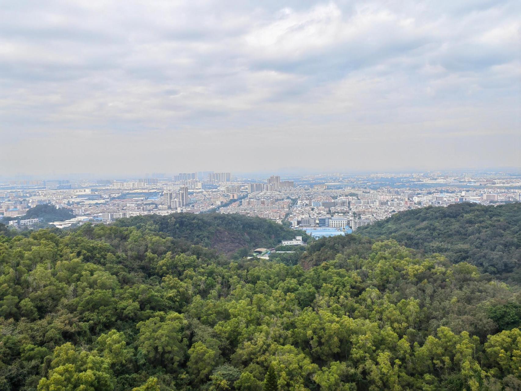 南沙大岗公园图片