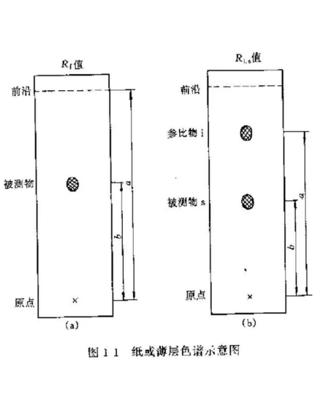 薄层层析结果图图片