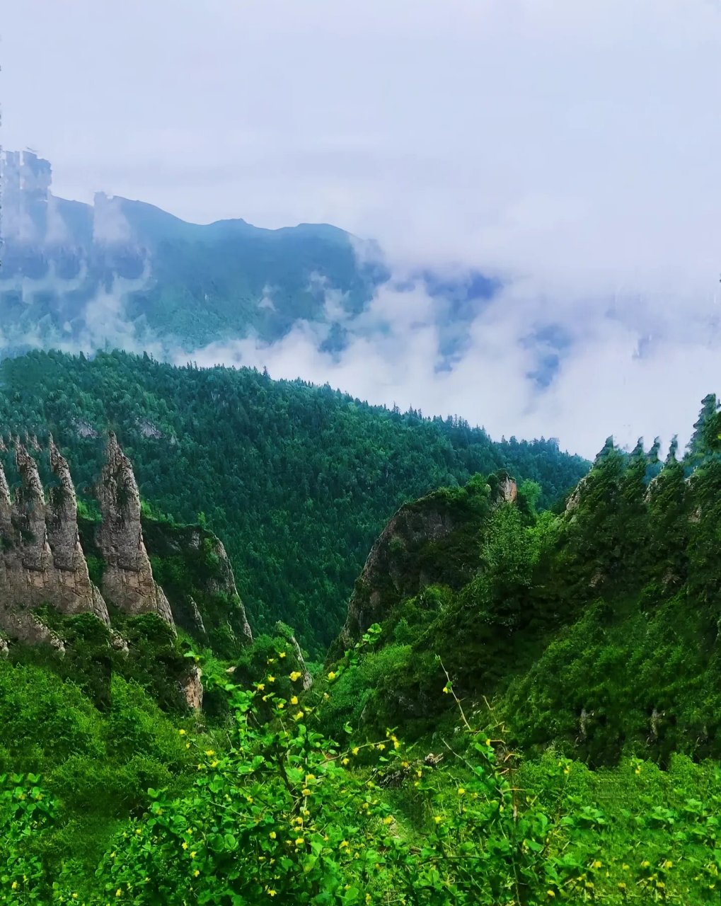 莲花山国家森林公园 莲花山国家森林公园位于甘肃南部,坐落在临潭县