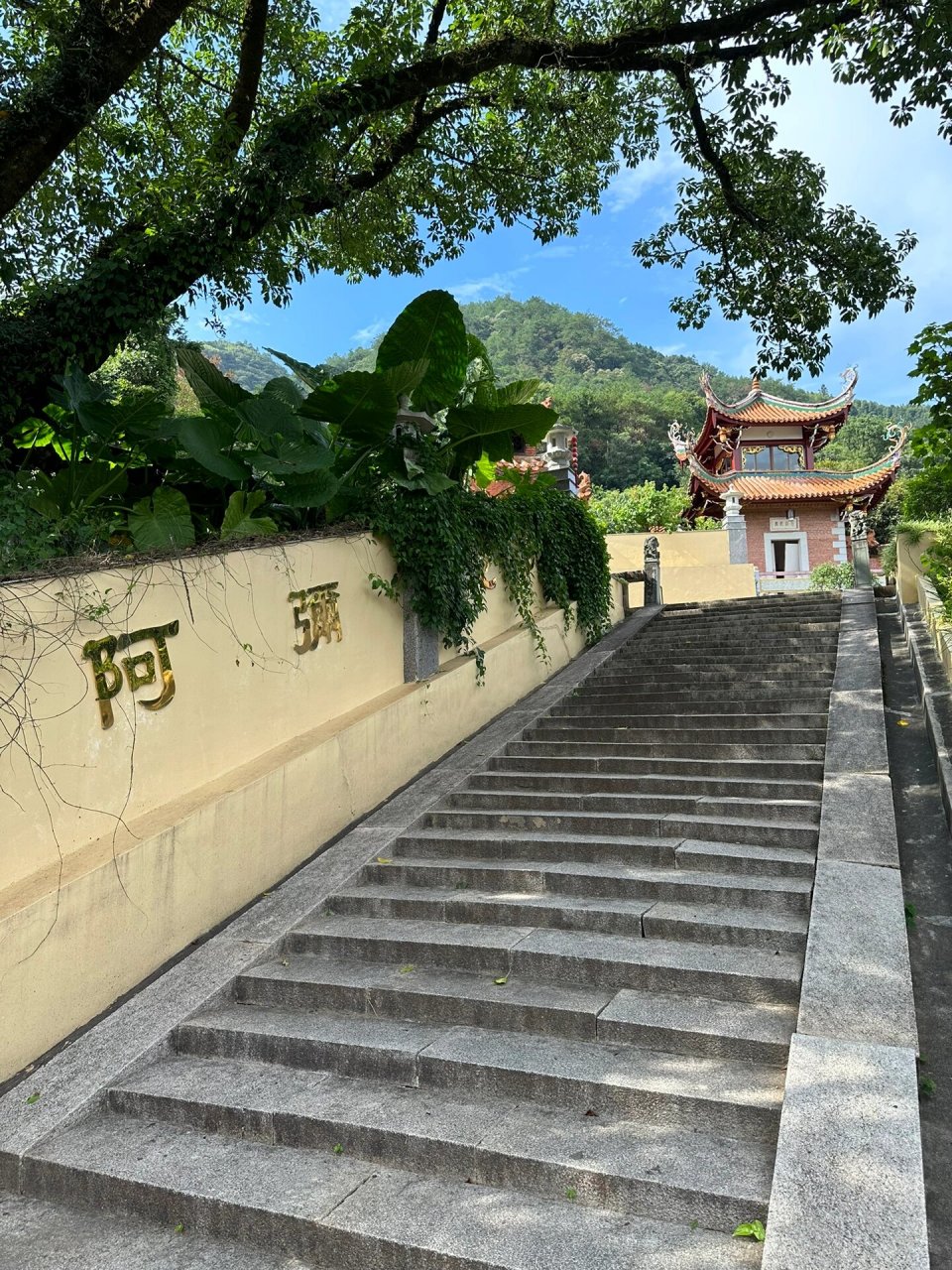 永春61蓬壶镇61普济寺