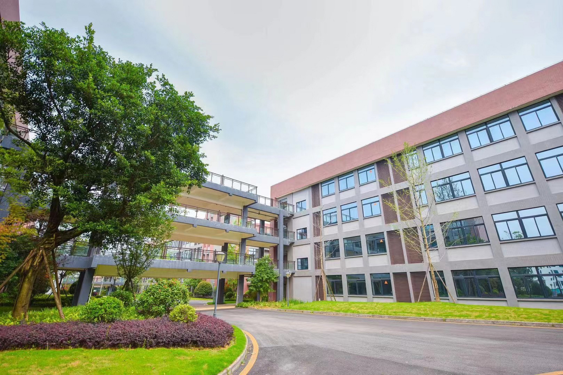 2023年单招 泸州医疗器械职业学院 单招来临 想学医的同学们 快快报名