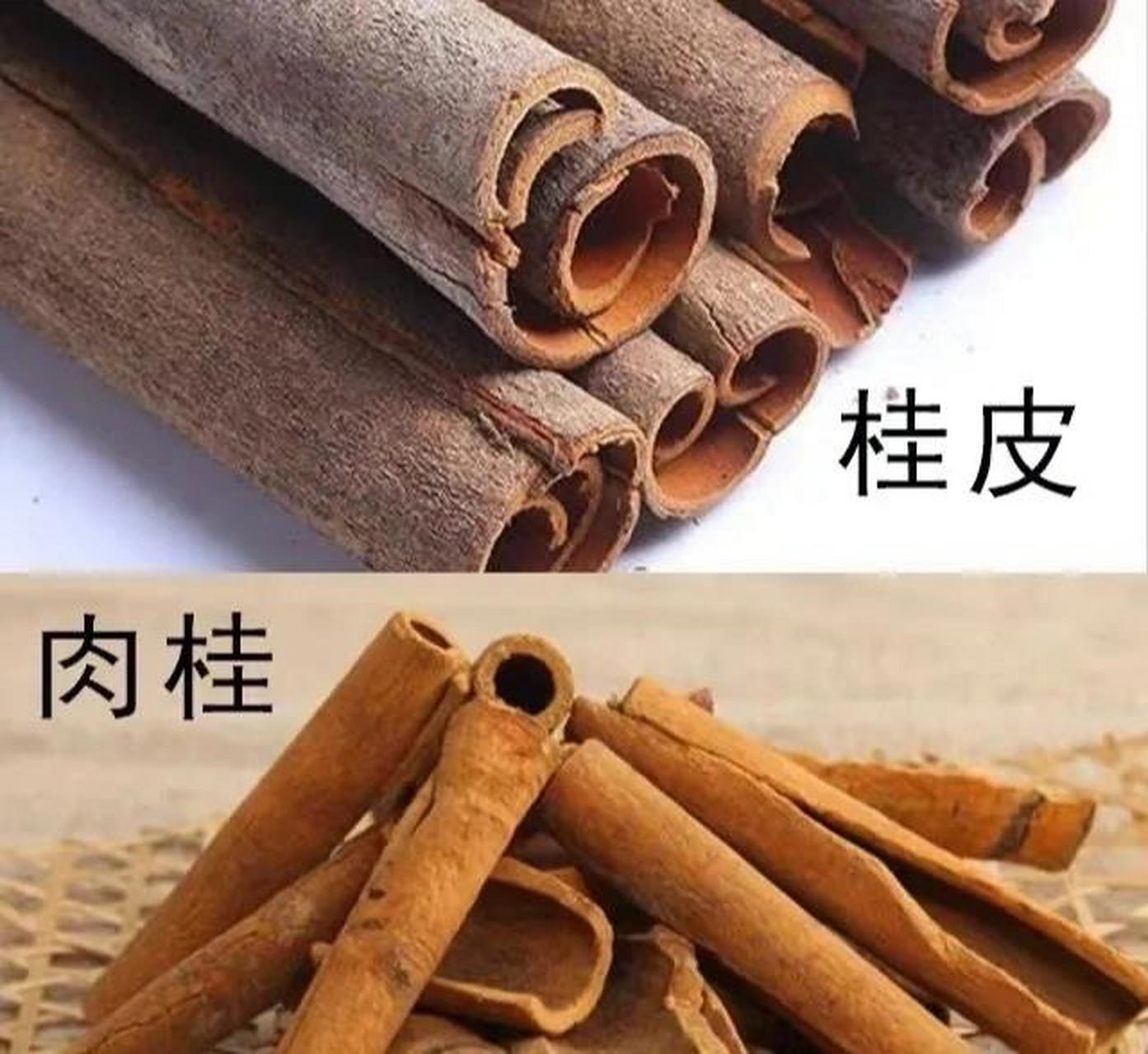 肉桂和桂皮的区别不同之处 我们来讲讲肉桂和桂皮的区别.
