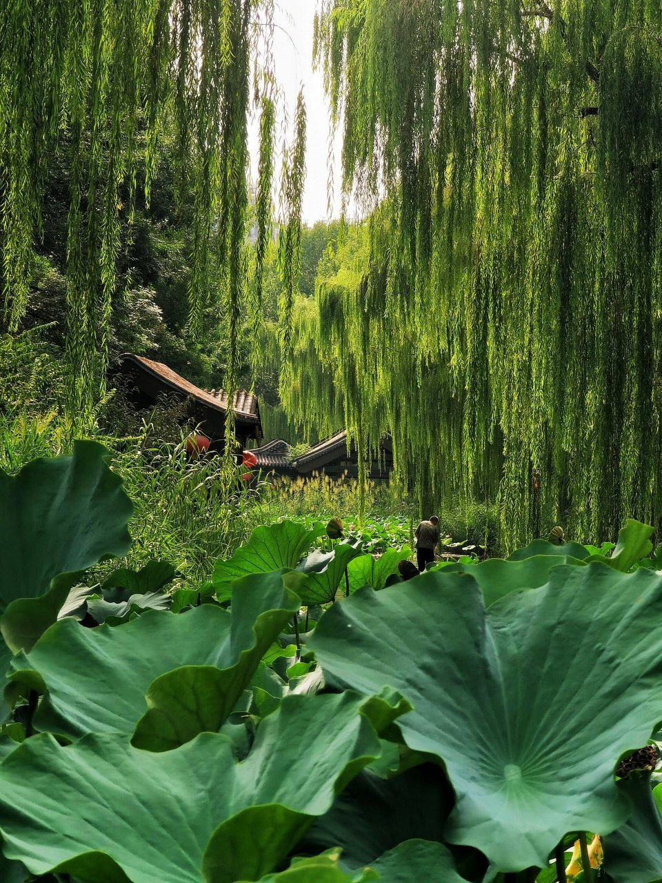 北京潭西胜境景区竟然是消失已久的太平湖 在北京积水潭桥西北角,与车