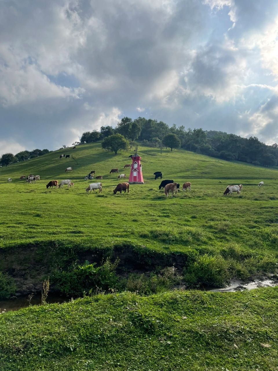 西安周边游7315关山牧场96感受一下天然氧吧 夏日炎炎 98