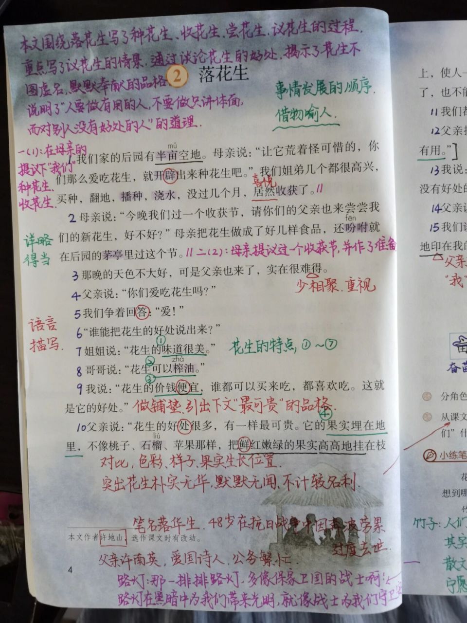 落花生学霸笔记图片图片