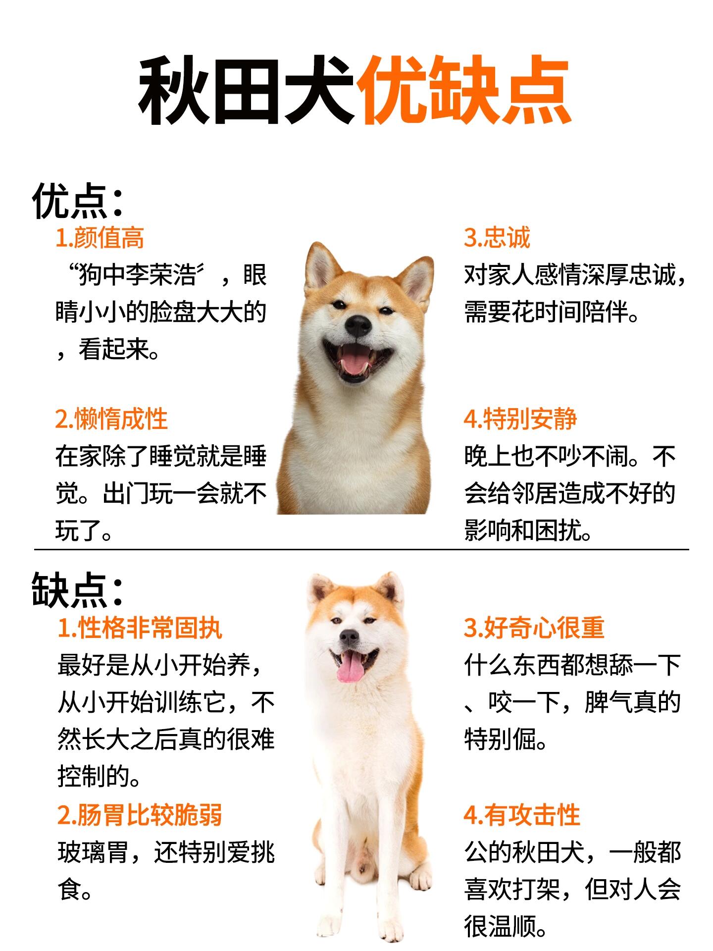 日本秋田犬多少钱图片