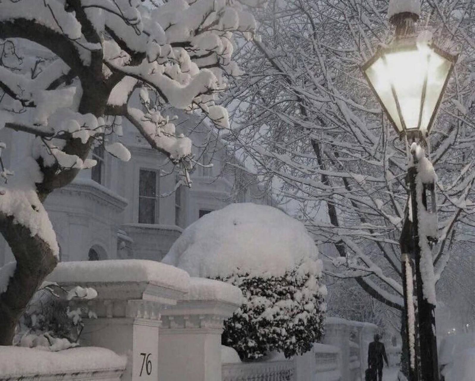 白色系列微信背景图  白色背景墙 白色玫瑰季节