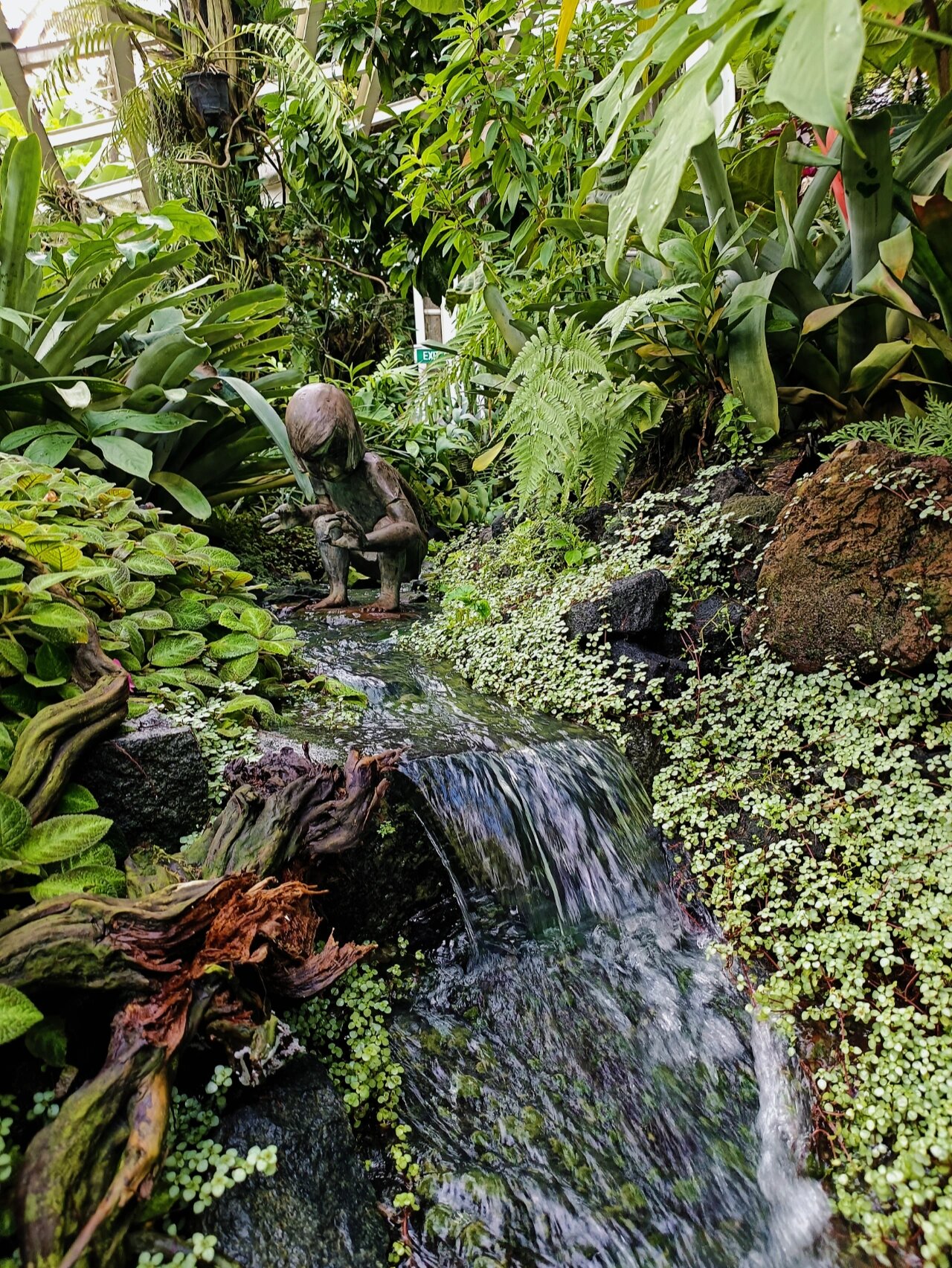 9492 新加坡胡姬花园 | 好疗愈