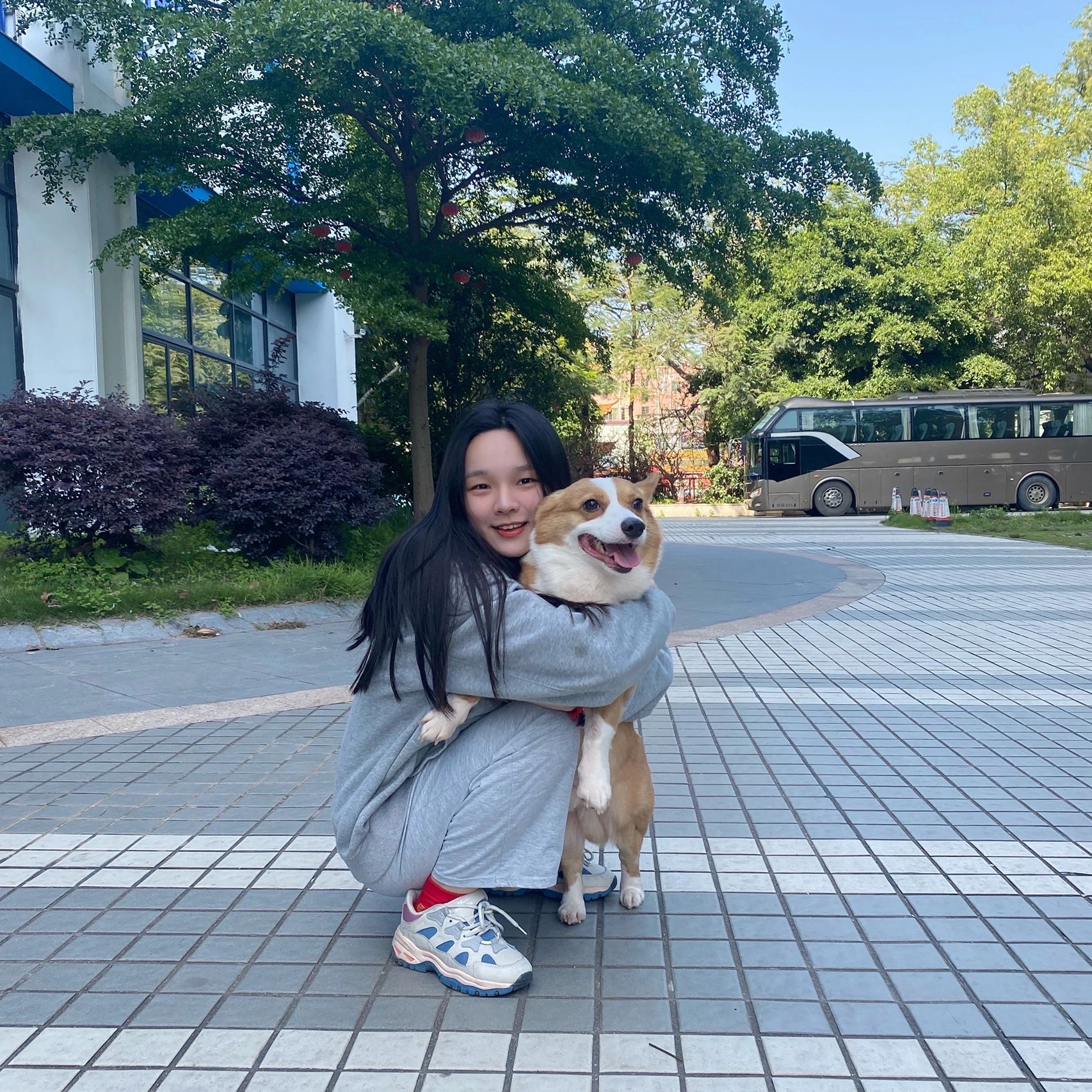 柯基是中型犬!不是小型犬!真的不小只!很 虽然很肥,但是很可爱