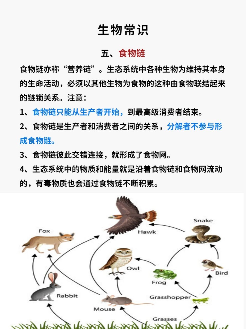 捕食关系图辨别捕食者图片