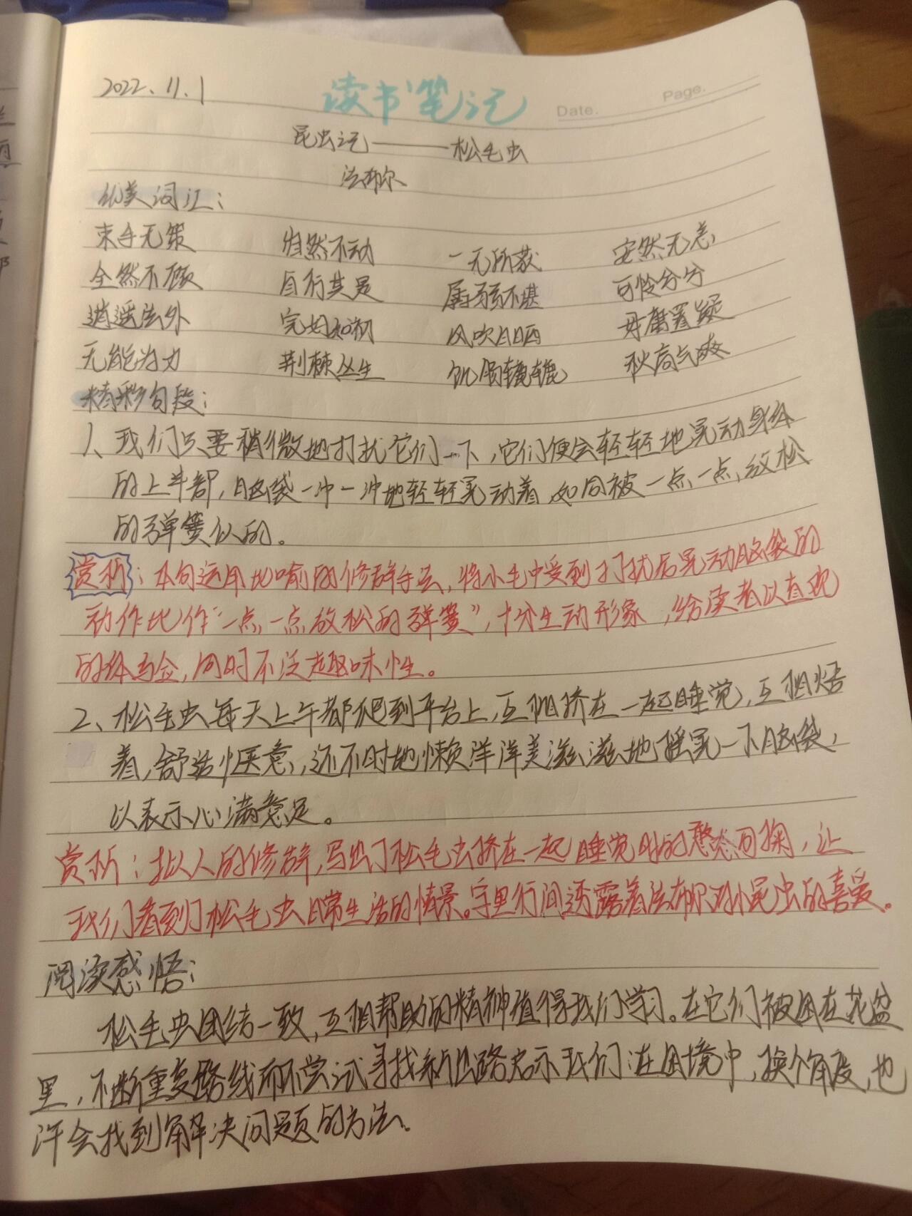 昆虫记读书笔记怎么写图片