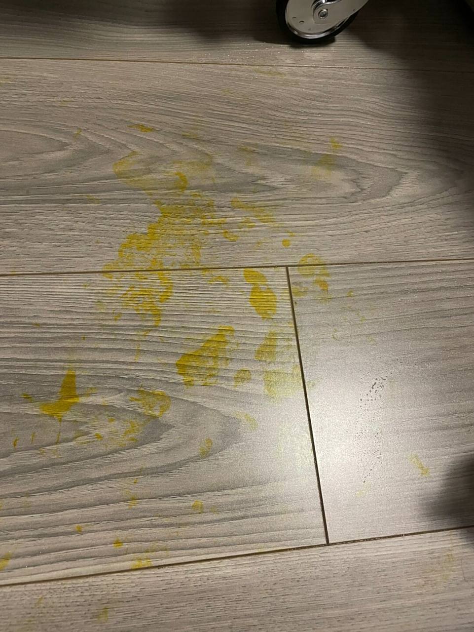 求助 百合花粉在地板上怎么清理 如图今天早起上班,不小心打翻了花瓶