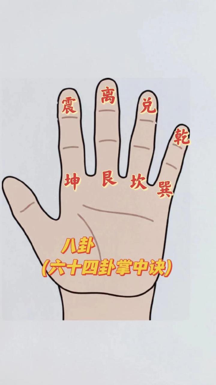 手指掐算公式图五指图片