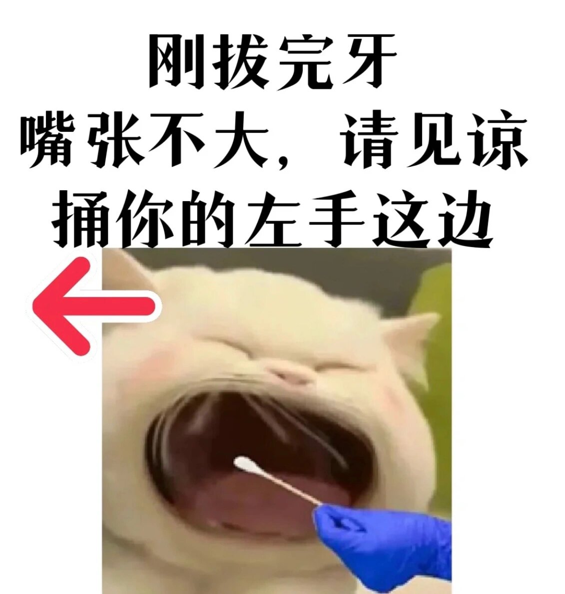 拔完智齿专用表情包 嘴巴不敢张的很大,只能拿图片给大白看,懵了两秒