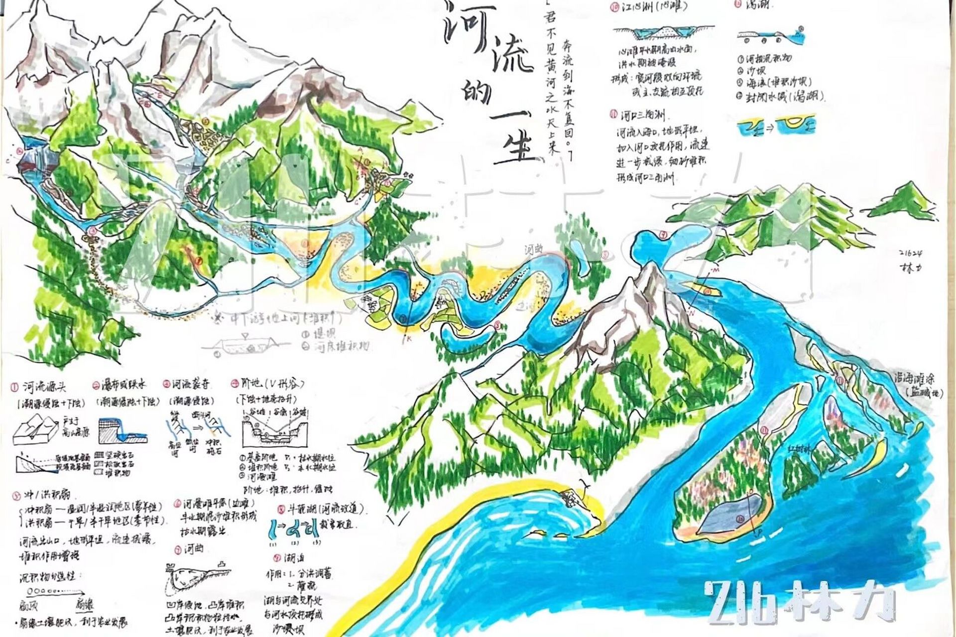 学生作品|河流地貌思维导图 画得也太棒了吧!