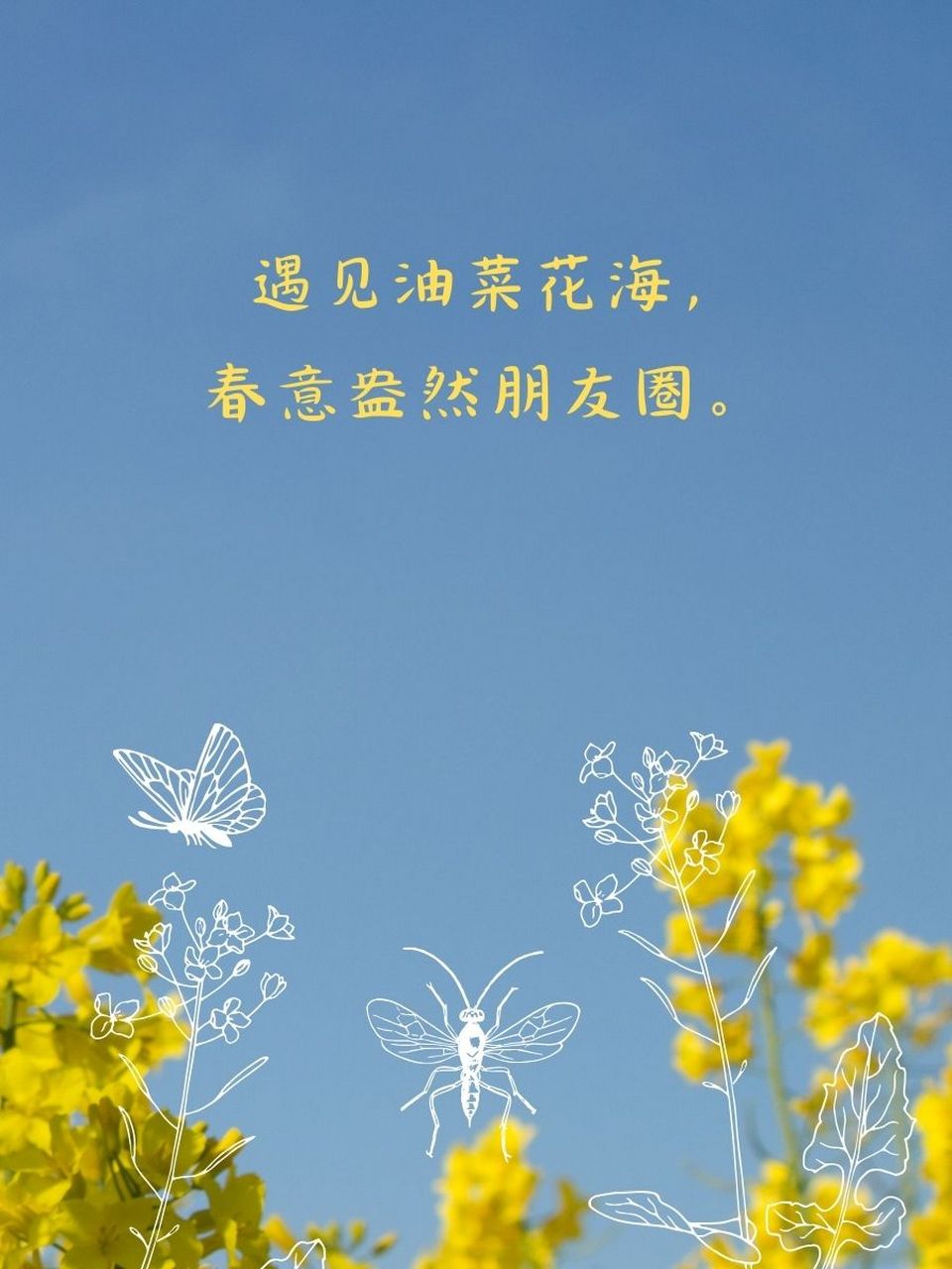 🌻 油菜花田,一片金黄,春风拂过,花香四溢,令人陶醉.