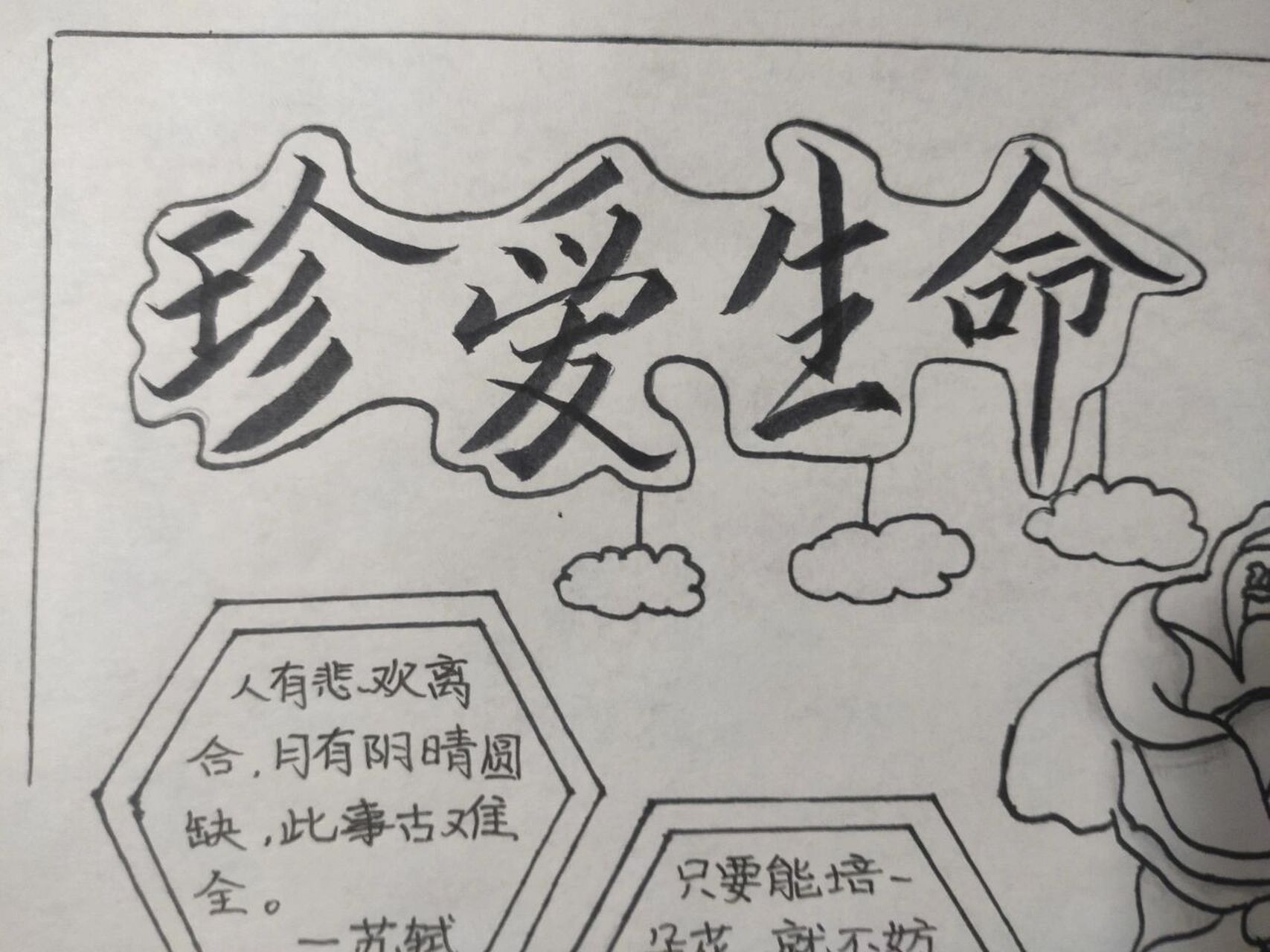 珍爱生命手抄报 纯黑白手抄报