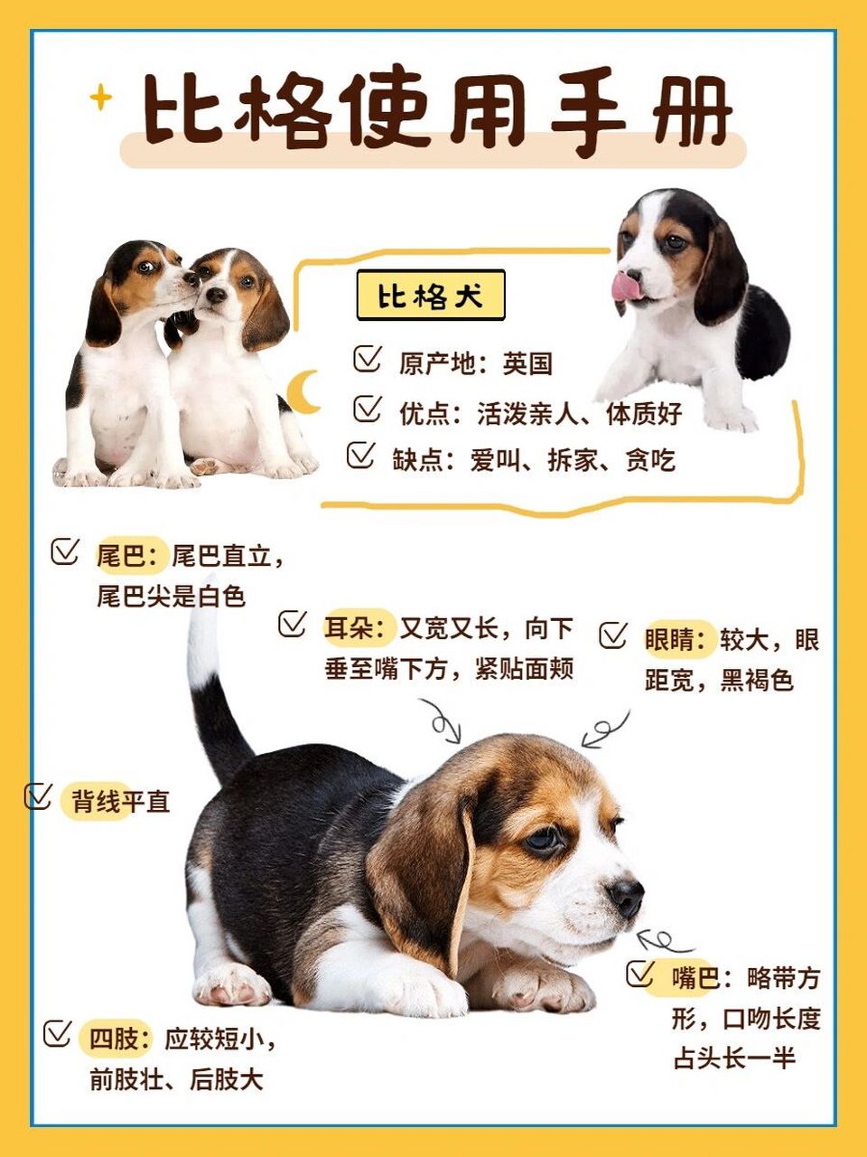 "史努比"的原型|比格喂养手册96新手必看 利益声明:感谢莱野品牌的