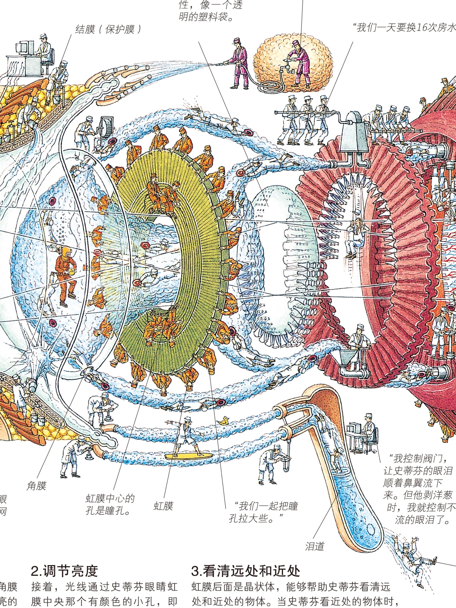 盲孔解剖图片