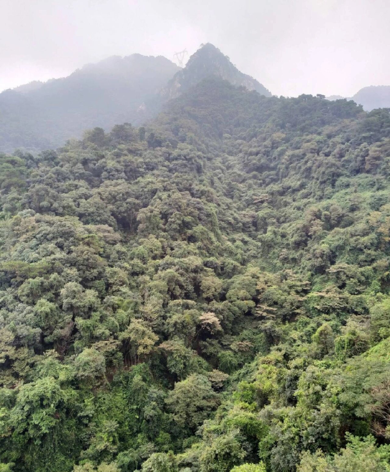 佛山南丹山风景区介绍图片