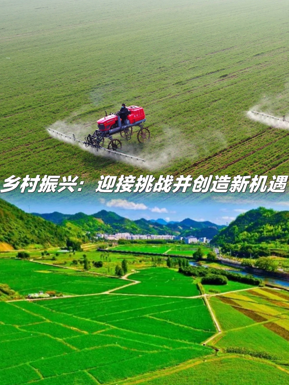 江西乡村 振兴 农业转型相关图片3