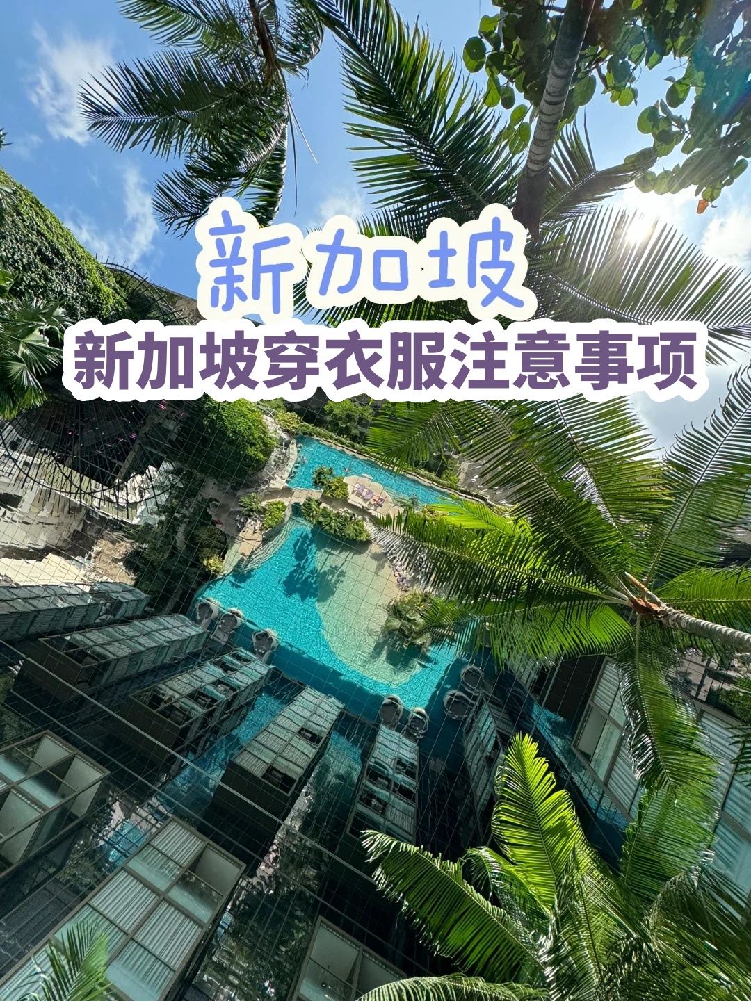新加坡用什么手机(新加坡用什么货币折合人民币汇率)