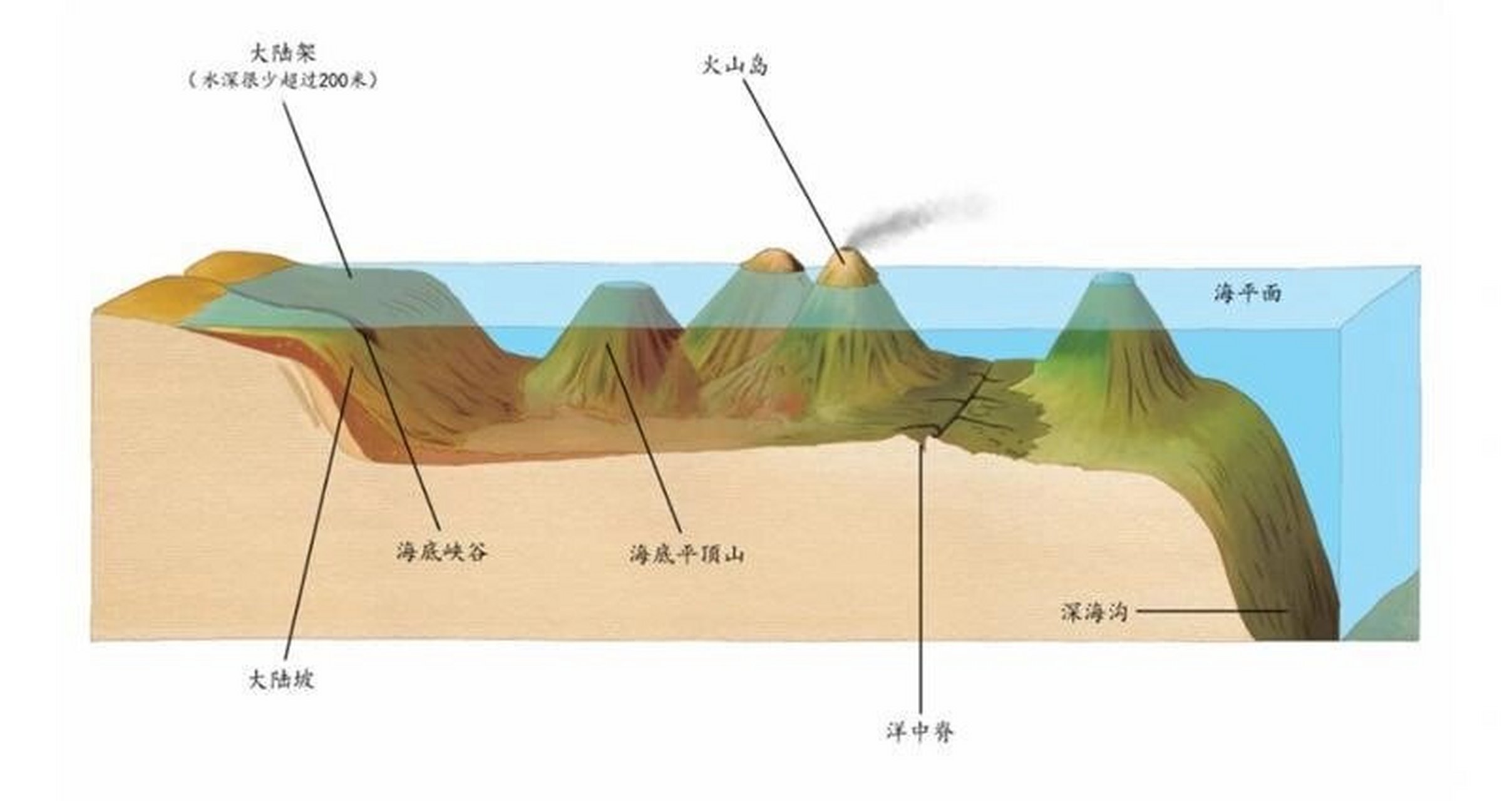 自然地理 之 海底地貌 海底地貌是海水覆盖下的固体地球表面形态的