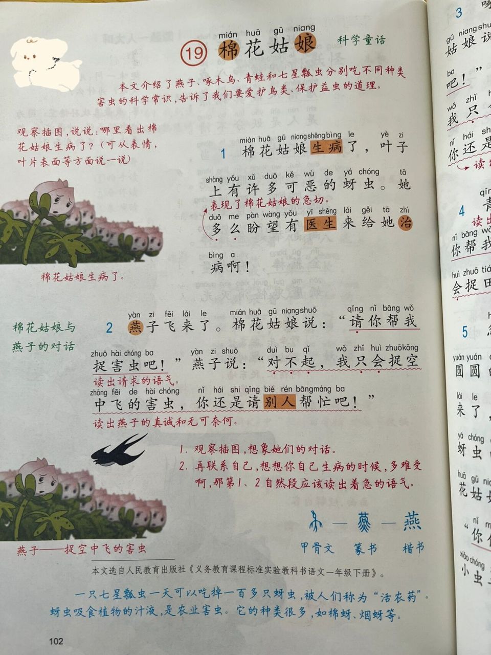 棉花姑娘课文原图图片