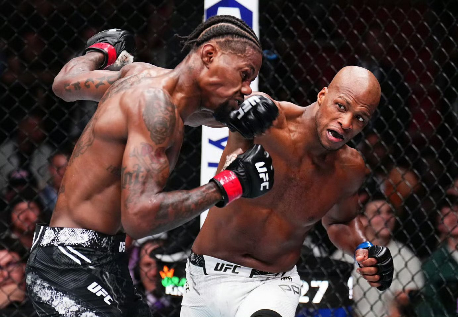 霍兰德战立完全被吊打,要不是下巴还算硬,可能得挺!佩奇也属实秀!