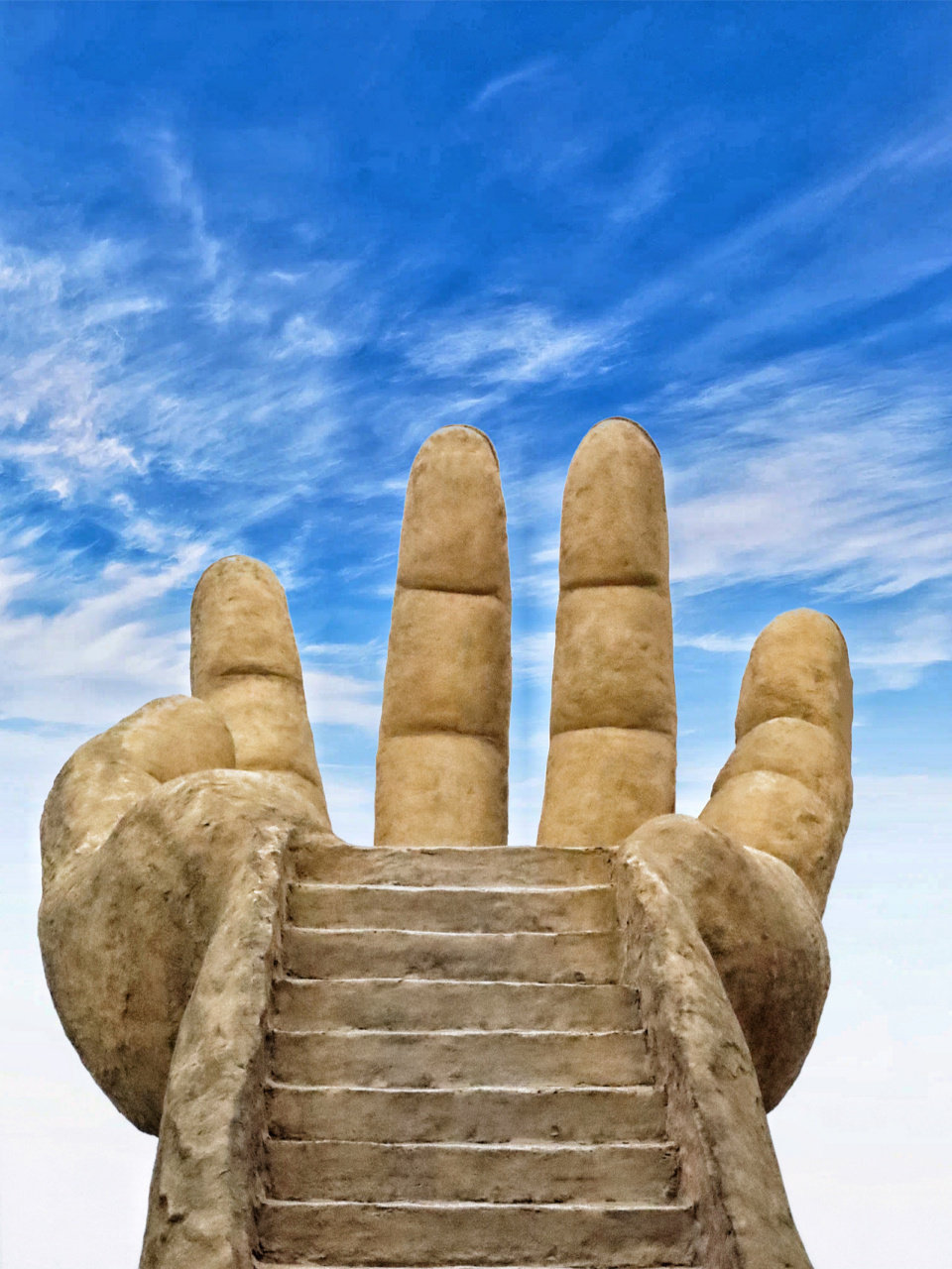 芒果发现重庆新晋打卡地 超小众菲律宾佛手花园重庆也有啦～ 超好拍